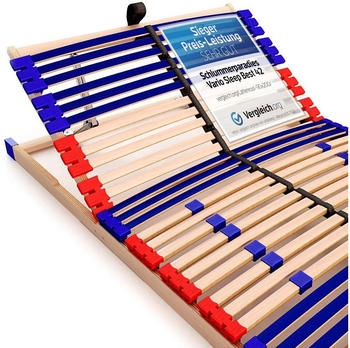 Schlummerparadies Vario Sleep Best 42 90x200cm