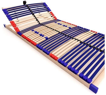 Schlummerparadies Vario Sleep Best 42 140x200cm