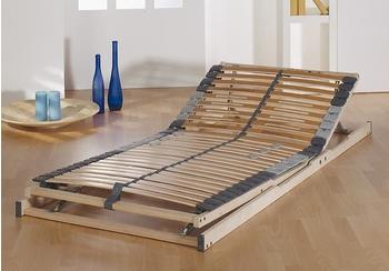 Frankenstolz Dreamflex Plus KF 100x200 cm