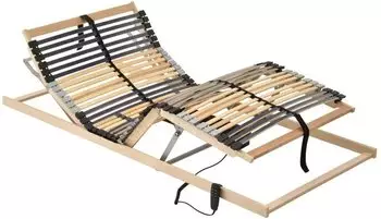 vidaXL Elektrischer Lattenrost 100x200cm (321829)