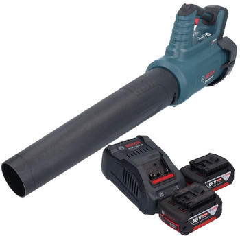 Bosch GBL 18V-750 (mit 2 Akkus 5,0 Ah und Ladeger&auml;t)
