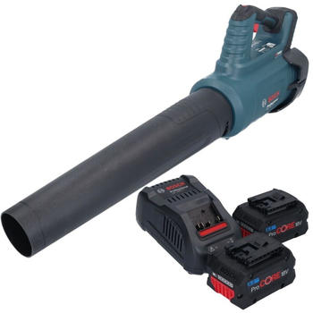 Bosch GBL 18V-750 (mit 2 Akkus 8,0 Ah und Ladeger&auml;t)