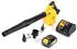 DeWalt DCV 100 M1 (1 x 4Ah Akku und Ladegerät)