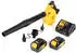 DeWalt DCV 100 M2 (2 x 4Ah Akkus und Ladegerät)