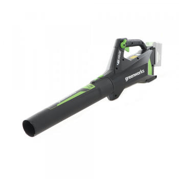 Greenworks Axial-Akku-Laubsauger (G48AB)
