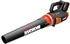 Worx WG584E (mit Akku und Ladegerät)