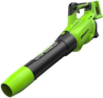 Greenworks GD24X2AB ohne Batterie und Ladegerät