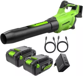 Greenworks BL48L00-01