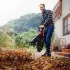 Einhell GE-CL 36 Li E - Solo