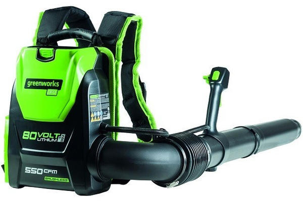 Greenworks (473672)