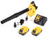 5 Ah, mit 2 Akkus: DeWalt DCV 100