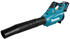 5 Ah, blasen, mit 1 Akku, mit Schnellladegerät: Makita UB001G