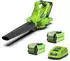 Greenworks GD40BV