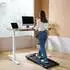 Flexispot MotionX