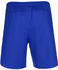 Nike Men's Short Dri-FIT Laser Woven V (DH8111) royal blue/white/white