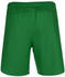 Nike Men's Short Dri-FIT Laser Woven V (DH8111) pine green/white/white