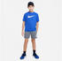 Nike Multi Dri-FIT Running Shirt (DX5386) game/royal