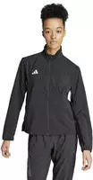 Adidas IT7595, adidas Adizero E Jacket Laufjacke Damen-Schwarz, Gr&ouml;&szlig;e L female