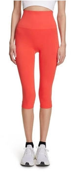 Falke Funktionstights CORE nahtlos fruit punch 8806