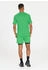 Endurance T-Shirt Hanieber Quick Dry island green