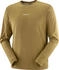 Salomon Shakeout Core Laufshirt langarm (Herren)
