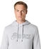 Asics Logo OTH Hoodie light grey heather 2031E187 020