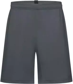 Gore Concurve 7 Shorts (101190) grau