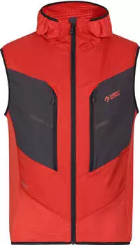 Direct Alpine Alpha Vest 1.0