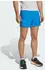 adidas Terrex Xperior Clima365 Hose kurz (Herren)