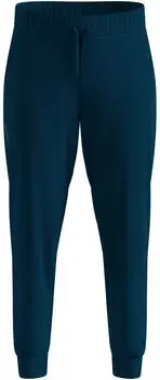 Odlo Essential Thermal Hose Herren (324022-20417) blau