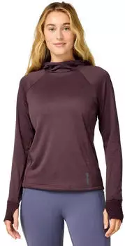 Brooks Momentum Thermal Damen (221789-245) braun