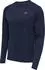 Newline Long Sleeve Core Laufshirt langarm black iris (Herren) (510103-1009)