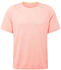 Nike Rise 365 Run Division T-Shirt (DA0421) bright mango/white
