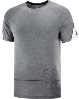 Salomon Cross Run Graphic short sleeves Shirt (LC1788000) grey