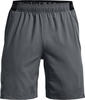 Under Armour 1370382-012, Shorts Under Armour UA Vanish Woven 8in Shorts-GRY S...