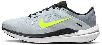Nike Winflo 10 (DV4022-007) grey