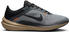 Nike Winflo 10