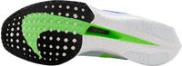 Nike Vaporfly 3 (DV4129) football grey/green strike/light armory blue/racer blue