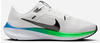 Nike DV3853-006, Nike Pegasus 40 weiß Herren