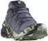 Salomon Speedcross GTX Mehrfarbig