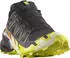 Salomon Speedcross GTX Herren mehrfarbig