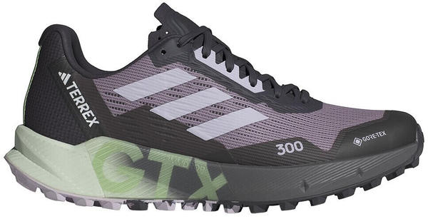 Adidas Terrex Agravic Flow 2 Goretex Trail Running Shoes grau