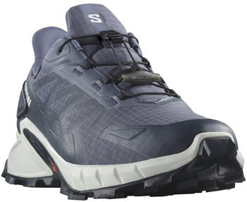 Salomon SUPERCROSS GORE-TEX Trailrunningschuh wasserdicht grau