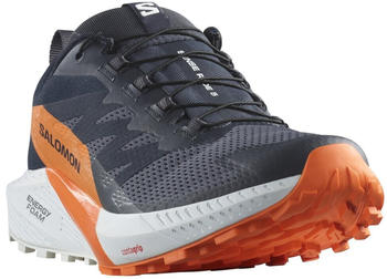 Salomon Sense Ride GTX Herren mehrfarbig