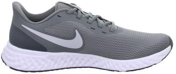 Nike Revolution 5 (BQ3204) cool grey/pure platinum/dark grey