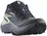 Salomon Genesis W carbon grisaille/aloe/wash grey