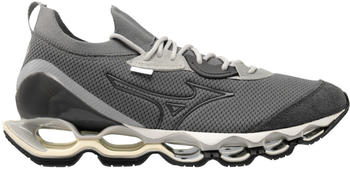 Mizuno Wave Prophecy Beta grau D1GA2276