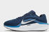 Nike Winflo 11 (FJ9509)