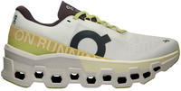 On 3WE1011, ON Damen Laufschuhe Cloudmonster 2 Silber female