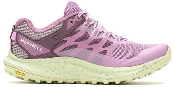 Merrell Antora 3 Women fondant willow